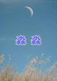 淼淼淼淼